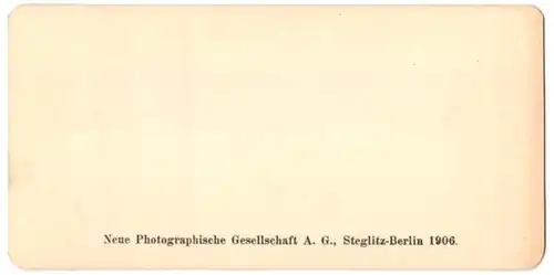 Stereo-Fotografie NPG, Berlin, Ansicht Liege, Vue generale prise du Pont des Arches