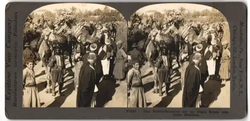 Stereo-Fotografie Keystone View Co., Meadville / PA., Ansicht Jaffa, Kamel Karawane auf einer Strasse, Tracht