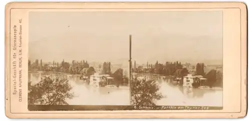 Stereo-Fotografie Clemens Kauffmann, Berlin, Friedrichstr. 40, Ansicht Thun, Villa am Thuner See