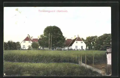 AK Sjaelland, Terslosegaard