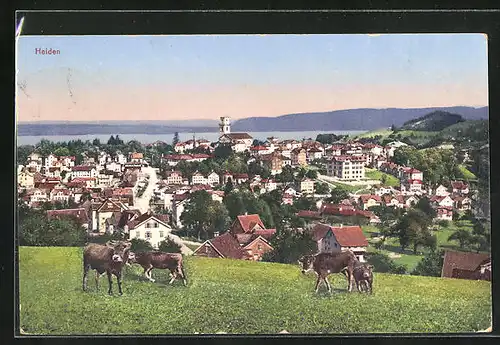 AK Heiden, Panorama mit Kirche