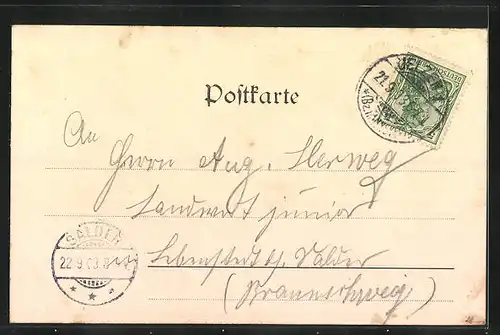 AK Woltersburg, Besenthal`s Gasthaus, Petersen`s Besitzung, Totalansicht