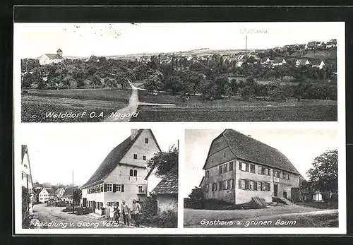 AK Walddorf bei Nagold, Gasthaus zum grünen Baum, Totalansicht, Handlung v. Georg Volz