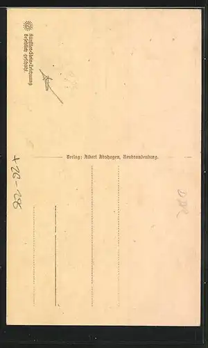 Steindruck-AK Neubrandenburg, Friedländer-Tor