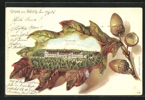 Lithographie Belzig, Sanatorium im Eichenblatt