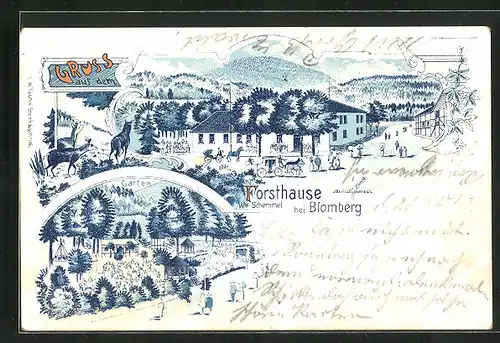 Lithographie Blomberg, Gasthof Forsthaus W. Schemmel, Garten, Rehwild