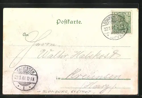 Lithographie Blomberg, Gasthof Forsthaus W. Schemmel, Garten, Rehwild