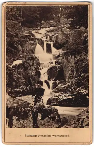 Fotografie Fr. Rose, Wernigerode, Ansicht Wernigerode, Blick auf die Steinerne Renne