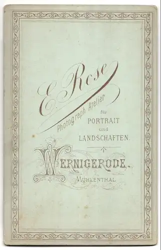 Fotografie E. Rose, Wernigerode, Ansicht Wernigerode, Steinerne Renne
