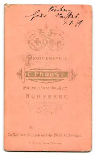 Fotografie C. Probst, Nürnberg, Ansicht Nürnberg, Blick auf den Tugendbrunnen, 1879