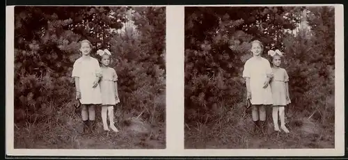 Stereo-Fotografie unbekannter Fotograf und Ort, zwei Mädchen mit Haarschleife posieren vor Wald, Amateur Fotografie