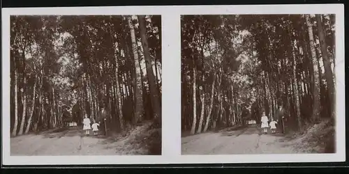 Stereo-Fotografie unbekannter Fotograf und Ort, Vater mit zwei Töchtern auf einer Allee, Amateur Fotografie, 1917