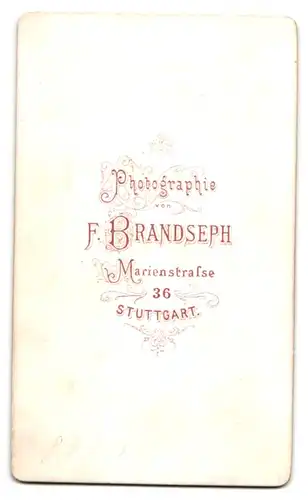 Fotografie F. Brandseph, Stuttgart, Marienstrasse 36, Mann mit Vollbart im Profil