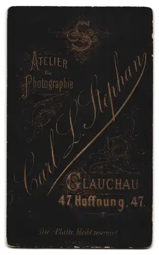 Fotografie Carl. L. Stephan, Glauchau, Hoffnung 47, Kleinkind mit kariertem Kleid und weissem Latz
