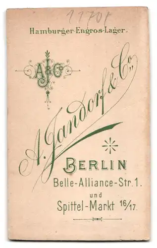 Fotografie A. Jandorf & Co., Berlin, Belle-Alliance-Str. 1, Junge Dame mit zurückgebundenem Haar