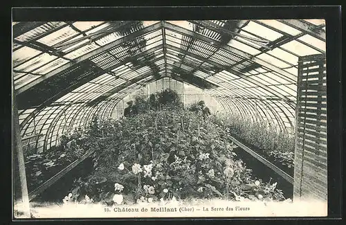 AK Meillant, Chateau, La Serre des Fleurs