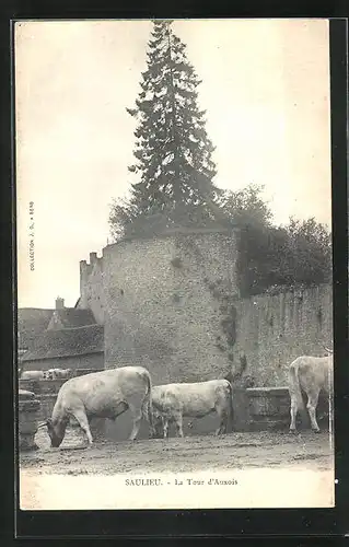 AK Saulieu, La Tour d`Auxois