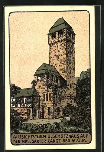 Steindruck-AK Hallgarten, Aussichtsturm u. Schutzhaus auf der Hallgarter Zange