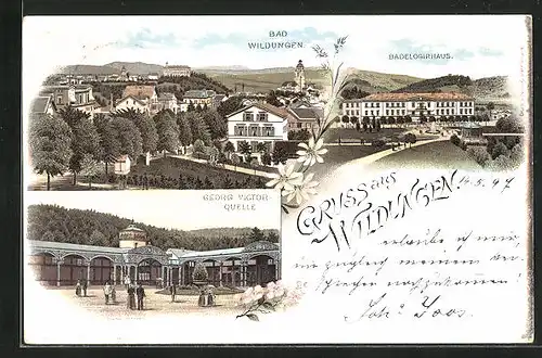 Lithographie Wildungen, Badelogirhaus, Georg-Victor-Quelle, Panorama
