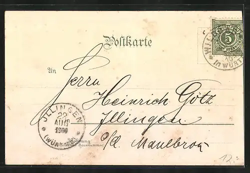 Lithographie Wildbad, Kgl. Karlsbad, Wasserfall, Trinkhalle