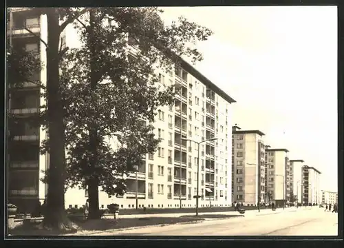 AK Hoyerswerda-Neustadt, Strassenpartie mit Magistrale