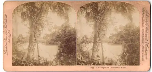 Stereo-Fotografie Littleton View Co., Littleton N.H., A Glimpse on the Swanee River Florida