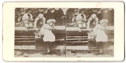 Stereo-Fotografie unbekannter Fotograf und Ort, zwei Knaben klauen Äpfel vom Mädchen, Apfeldiebe