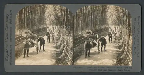 Stereo-Fotografie Keystone View Comp., Meadville / PA., Riksha fahrer beim Transport zweier Geishas im Bambuswald