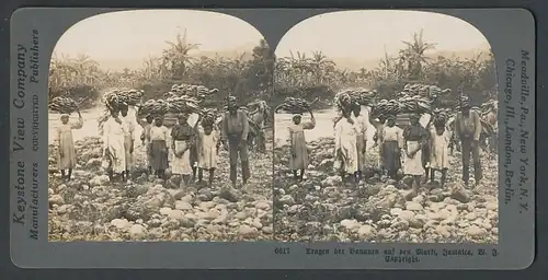 Stereo-Fotografie Keystone View Comp., Meadville / PA., Jamaicaner tragen Bananen zum Markt