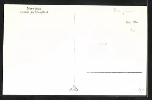 AK Balholm, Sognefjord, Panorama