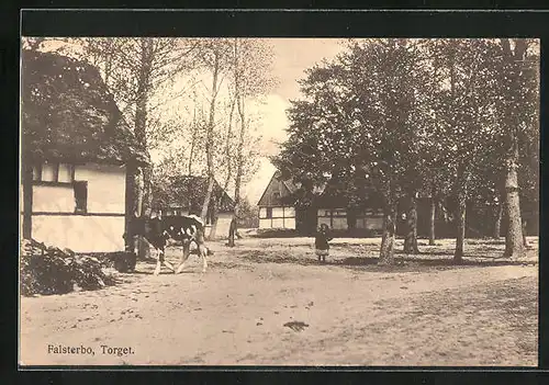 AK Falsterbo, Torget