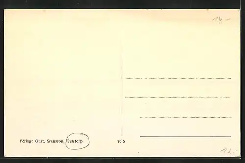 AK Grästorp, Strassenpartie mit Geschäften