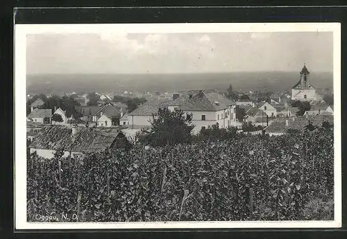 AK Oggau /N.-D., Panorama