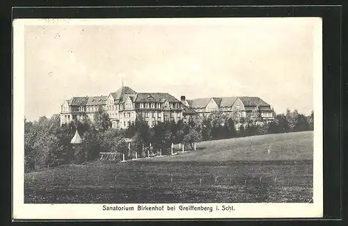 AK Greiffenberg, Sanatorium Birkenhof