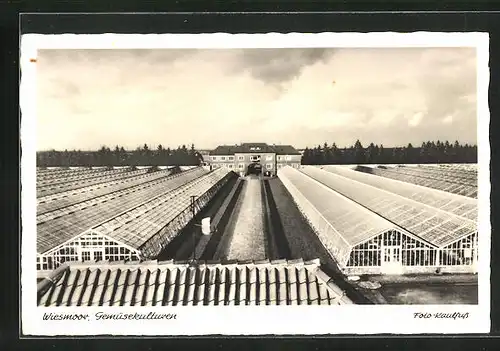 AK Wiesmoor, Gemüsekulturen