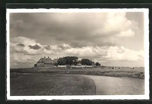 AK Backenswarft auf Hallig Hooge, Uferpartie