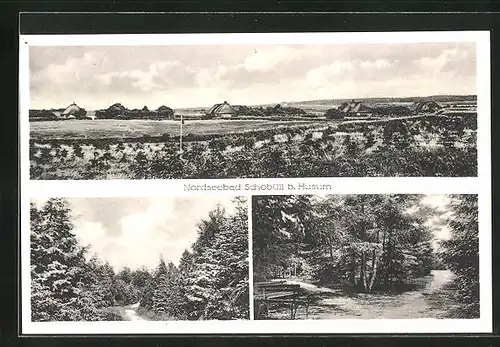 AK Schobüll b. Husum, Panorama, Ortspartie, Waldpartie