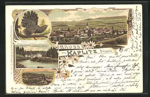 Lithographie Kaplitz i. Böhmen, Nähfabrik & Färberei