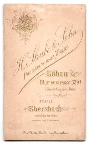 Fotografie H. Strube & Sohn, Löbau i. S., Blumenstrasse 339, Portrait junger Mann mit Fliege im Jackett