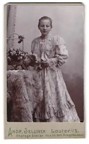Fotografie Andr. Jellinek, Lauter i. S., Portrait hübsche Dame im elegant bedrucktem Kleid