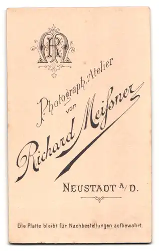 Fotografie R. Meissner, Neustadt a. D., Portrait dunkelhaarige junge Frau mit Brosche am Blusenkragen