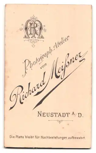 Fotografie R. Meissner, Neustadt a. D., Portrait stattlicher Herr mit Schnurrbart und Fliege im Jackett