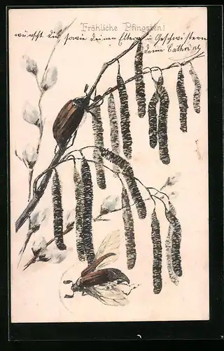 AK Maikäfer krabbeln auf einem Zweig, Fröhliche Pfingsten