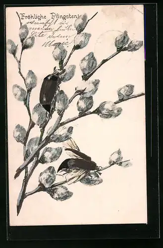 AK Maikäfer krabbeln auf dem Zweig eines Weidenkätzchens, Fröhliche Pfingsten