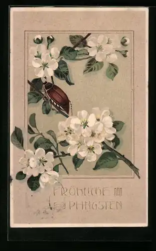 Präge-AK Maikäfer krabbelt auf einem schönen Blumenzweig, Fröhliche Pfingsten