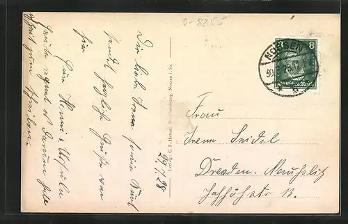 AK Nossen i. Sa., Blick vom Steinbusch