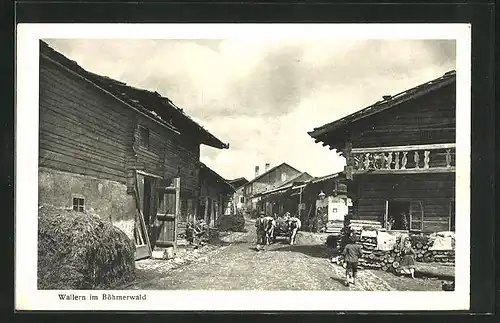 AK Wallern / Böhmerwald, Blick in die Lichtauerstrasse