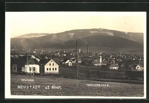 AK Neustadt (aT) / Nove Mesto Pod Smrkem, Teilansicht mit Heufuder und Tafelfichte