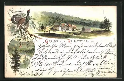 Lithographie Ruhestein, Ortspartie, Uferpartie
