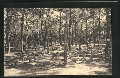 AK St-Trojan-les-Bains, L`Aérium de Monplaisir, La sieste sous les pins